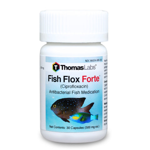 Fish Flox (Ciprofloxacin)