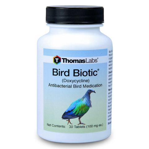 Bird Antibiotics