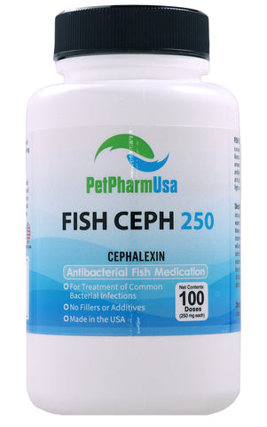 Fish Ceph 250 250Mg (Cephalexin) 100 Count