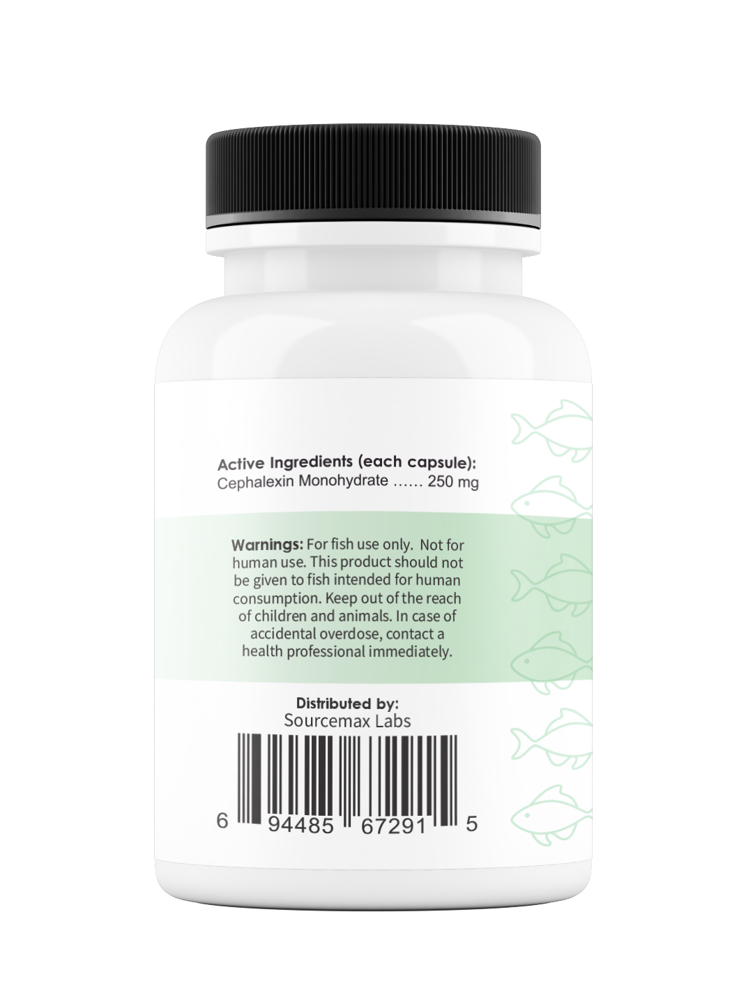 Fix Flex 250 250Mg (Cephalexin) 100 Count
