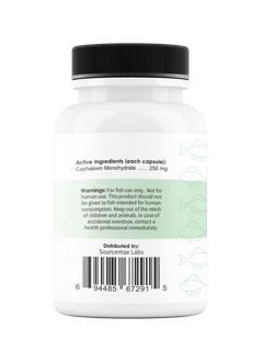 Fix Flex 250 250Mg (Cephalexin) 100 Count