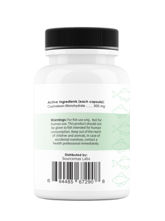 Fix Flex 500 500Mg (Cephalexin) 100 Count