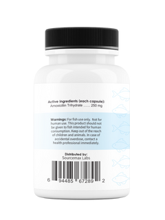 Fix Mox 250  (Amoxicillin) 250mg 30 Count