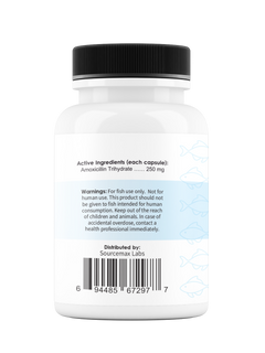 Fix Moxi 250 250Mg (Amoxicillin) 100 Count
