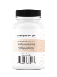 Fix Pen 500 (Penicillin) Tablets 500mg 30 Count