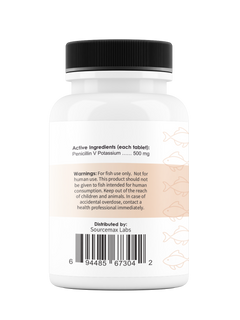 Fix Pen 500 (Penicillin) Tablets 500mg 60 Count