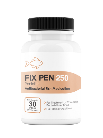 Fix Pen 250 250mg (Penicillin) 30 Count