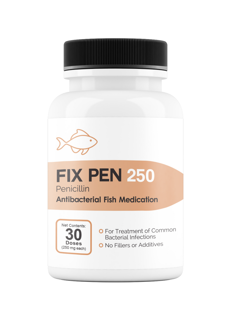 Fix Pen 250 250mg (Penicillin) 30 Count