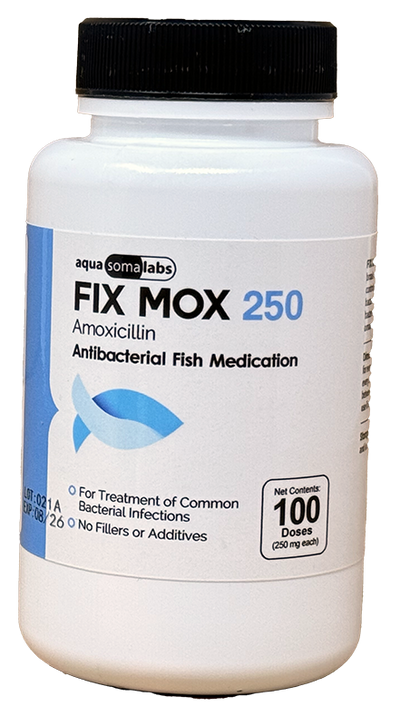 Fix Moxi 250 250Mg (Amoxicillin) 100 Count