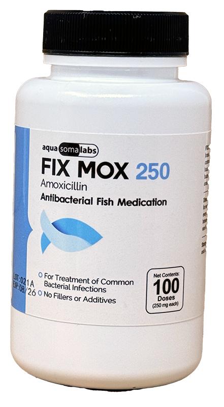 Fix Moxi 250 250Mg (Amoxicillin) 100 Count