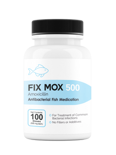 Fix Mox 500 - 500Mg (Amoxicillin) 100 Count