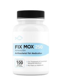 Fix Moxi 250 250Mg (Amoxicillin) 100 Count