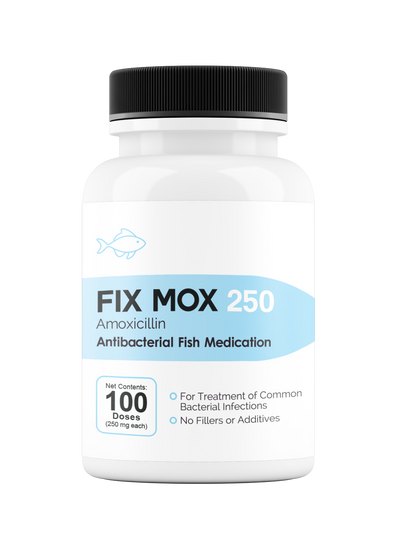 Fix Moxi 250 250Mg (Amoxicillin) 100 Count