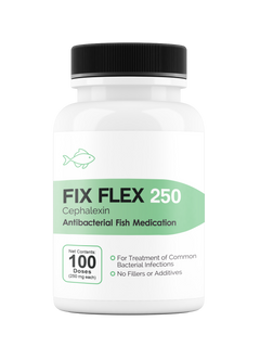 Fix Flex 250 250Mg (Cephalexin) 100 Count