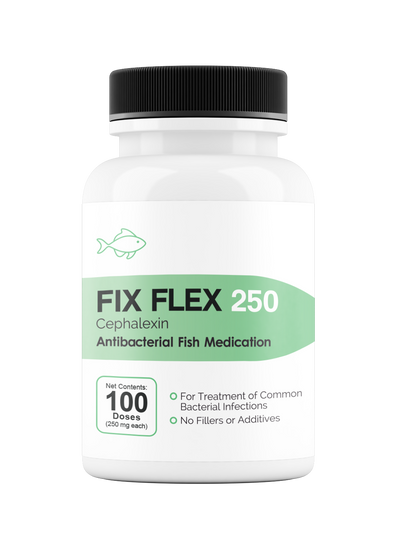 Fix Flex 250 250Mg (Cephalexin) 100 Count