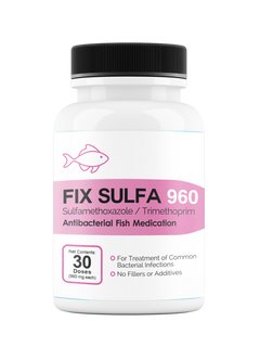Fix Sulfa (Sulfamethoxazole / Trimethoprim) 160mg 30 Count