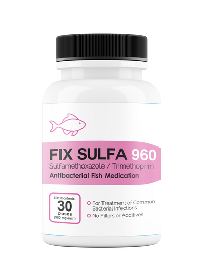 Fix Sulfa (Sulfamethoxazole / Trimethoprim) 160mg 30 Count