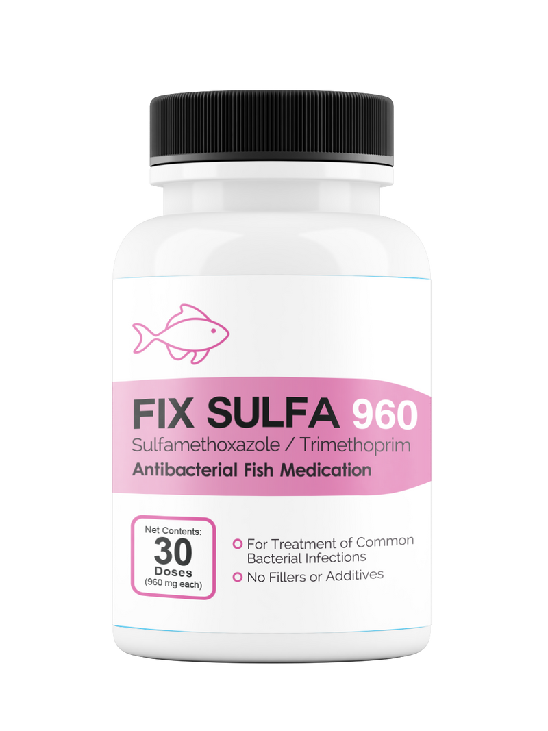 Fix Sulfa (Sulfamethoxazole / Trimethoprim) 160mg 30 Count