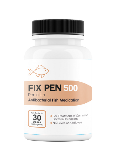 Fix Pen 500 (Penicillin) Tablets 500mg 30 Count