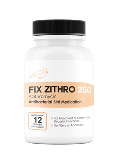 Fix Zithro 250 (Azithromycin) 12 Count
