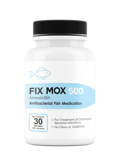 Fix Mox 500mg 30 count Amoxicillin