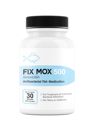 Fix Mox 500mg 30 count Amoxicillin