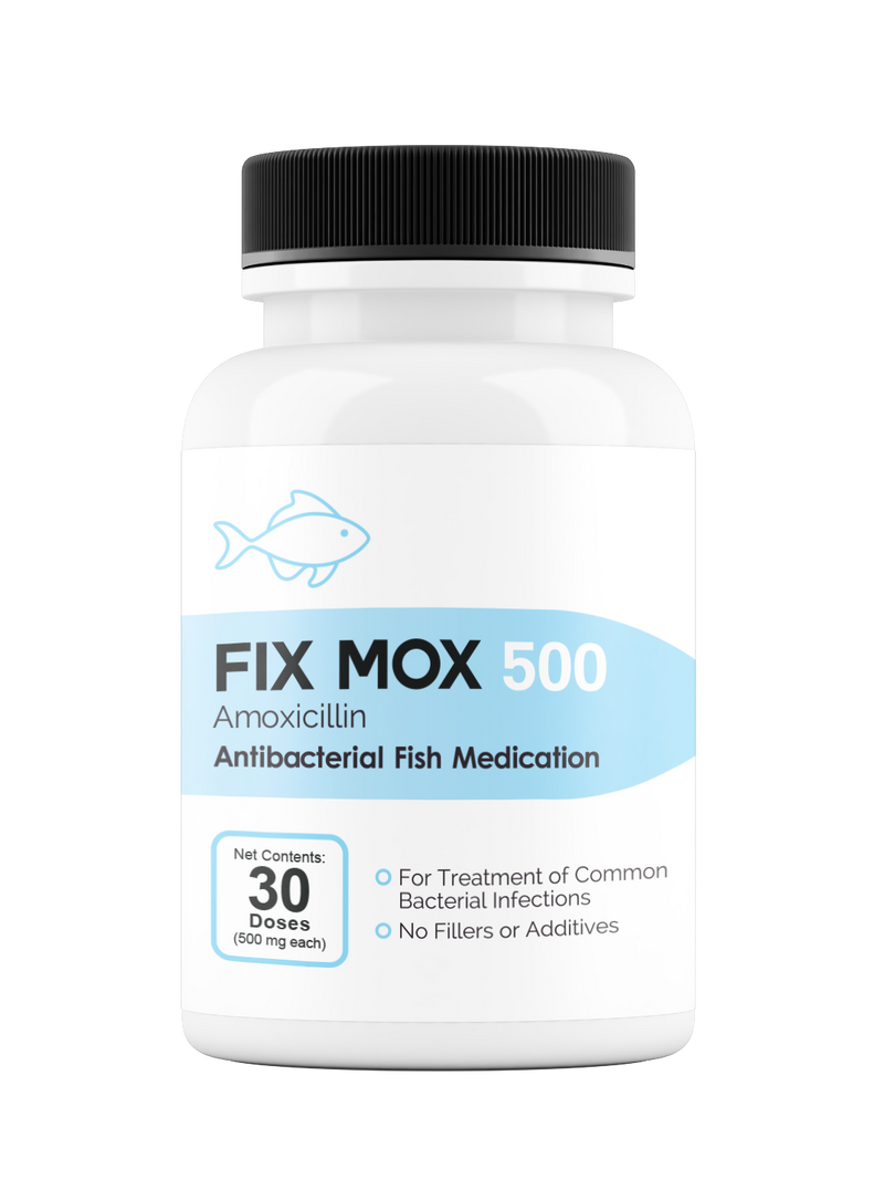 Fix Mox 500mg 30 count Amoxicillin