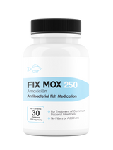 Fix Mox 250(Amoxicillin) 250mg 30 Count