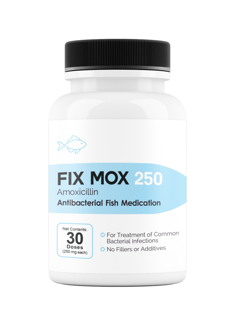 Fix Mox 250  (Amoxicillin) 250mg 30 Count
