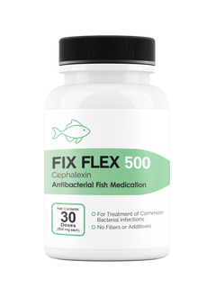 Fix Flex 500 500Mg (Cephalexin) 30 Count