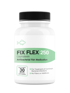 Fix Flex 250 250Mg (Cephalexin) 30 Count