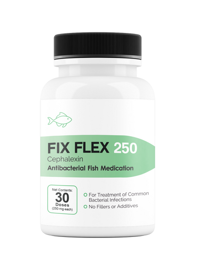 Fix Flex 250 250Mg (Cephalexin) 30 Count