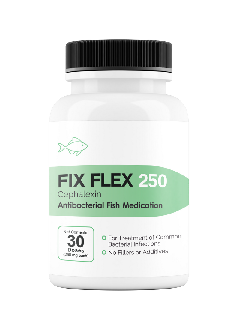 Fix Flex 250 250Mg (Cephalexin) 30 Count