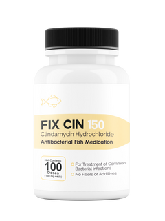 Fix Cin 150 (Clindamycin) 150mg 100 ct