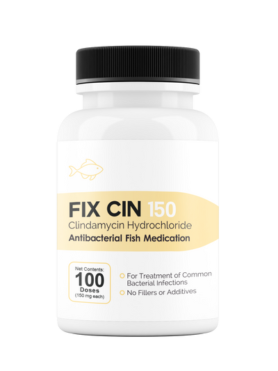 Fix Cin 150 (Clindamycin) 150mg 100 ct
