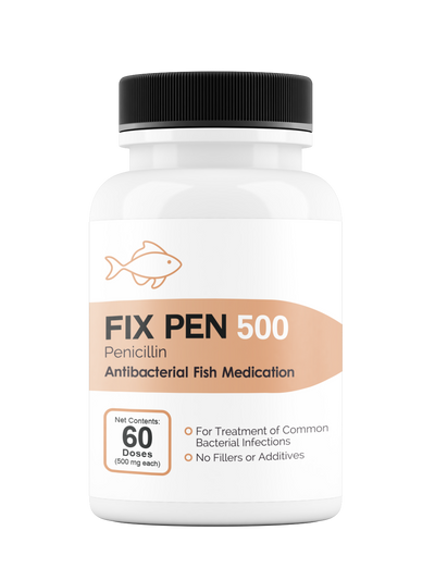 Fix Pen 500 (Penicillin) Tablets 500mg 60 Count