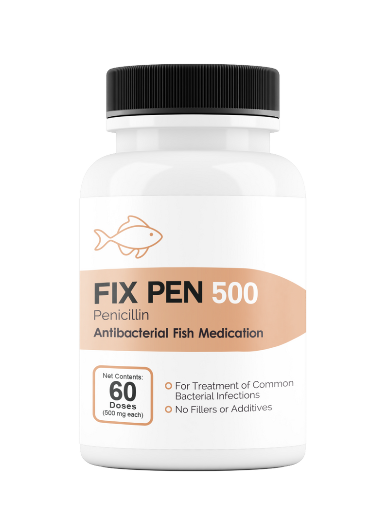 Fix Pen 500 (Penicillin) Tablets 500mg 60 Count