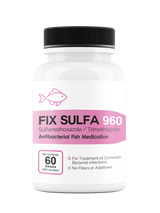 Fix Sulfa 160 (Sulfamethoxazole / Trimethoprim) 160mg 60 Count