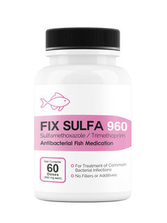 Fix Sulfa (Sulfamethoxazole / Trimethoprim) 160mg 60 Count