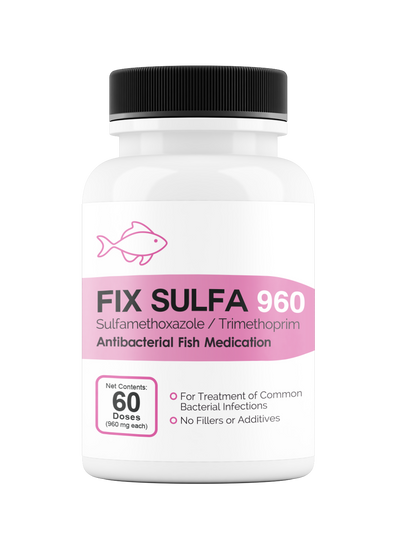 Fix Sulfa (Sulfamethoxazole / Trimethoprim) 160mg 60 Count