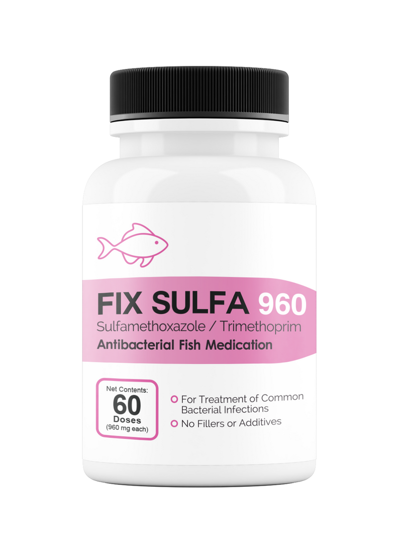 Fix Sulfa (Sulfamethoxazole / Trimethoprim) 160mg 60 Count