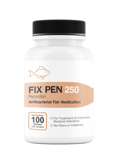 Fix Pen 250 250mg (Penicillin) 100 Count
