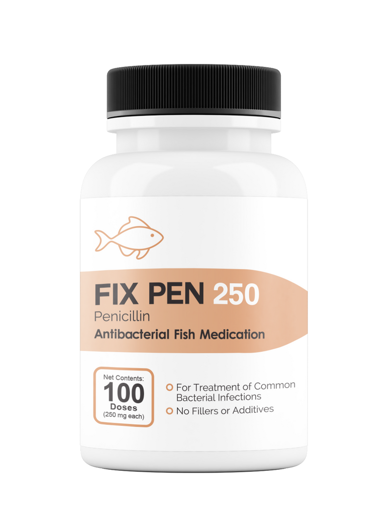 Fix Pen 250 250mg (Penicillin) 100 Count