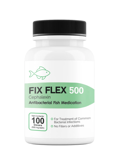 Fix Flex 500 500Mg (Cephalexin) 100 Count