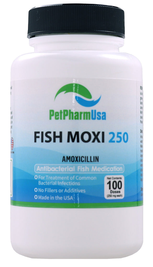 Fish Moxi 250 250Mg (Amoxicillin) 100 Count