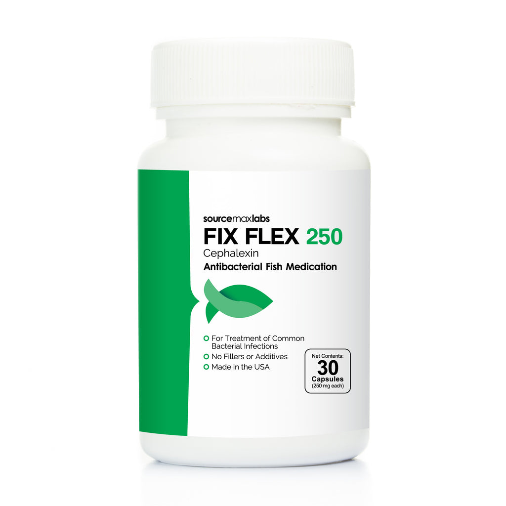 Fix Flex 250 (Cephalexin) 30 Count