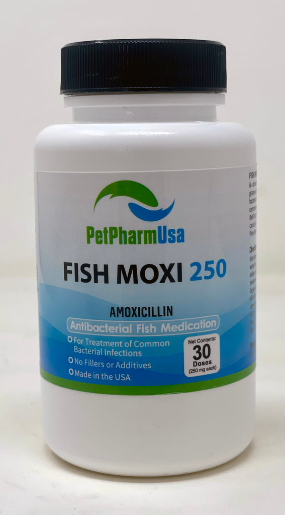 Fish Moxi 250  (Amoxicillin) 250mg 30 Count